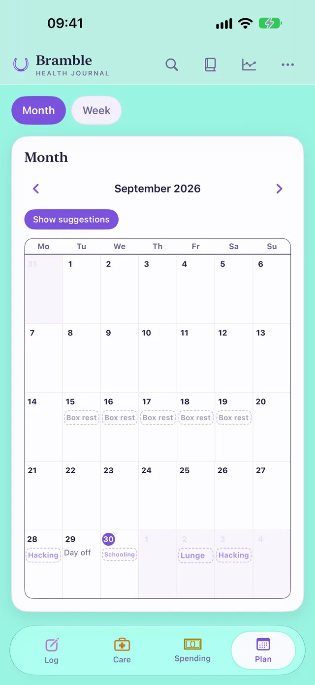 HorseDex’s Plan page in month view for September 2026, with box rest across one week, sessions such as Hacking and Lunge, and a Show suggestions button.